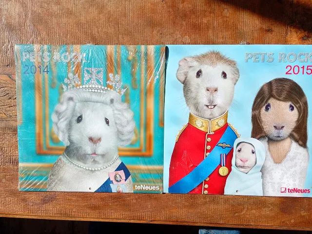 2 calendarios pets rock lacrados - Foto 4