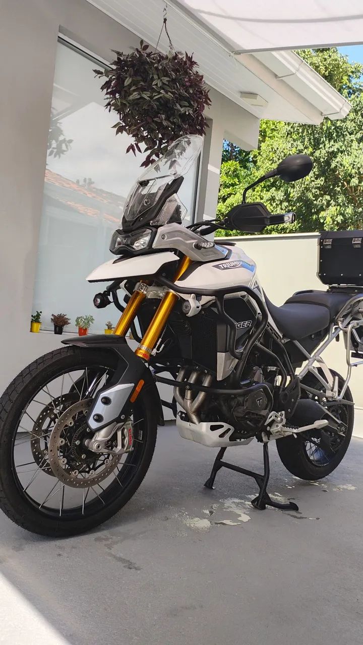 Tiger Rally pró 2023
