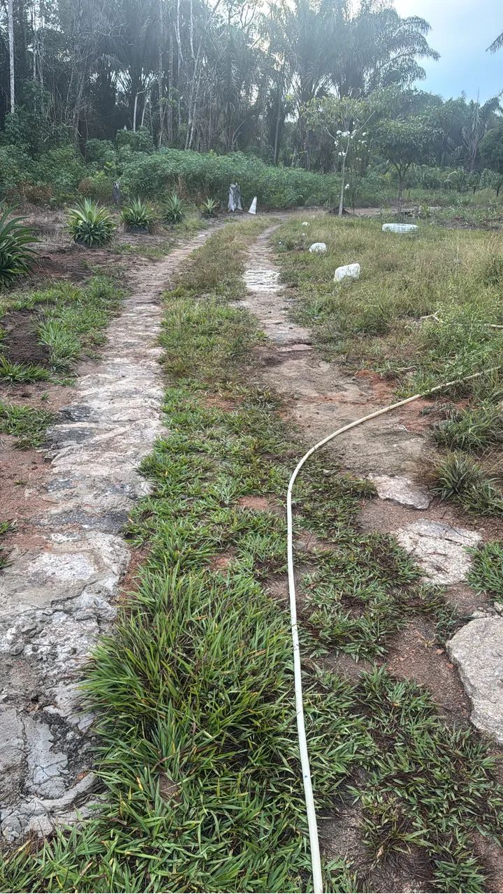 Sítio na Serra Grande 1/ Próximo da Subida das cachoeiras  - Foto 7