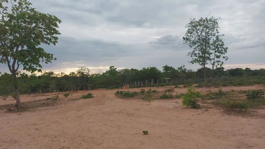 Roça do Brejo/Pompéu MG -  Fazenda de 80 hc  - Foto 3