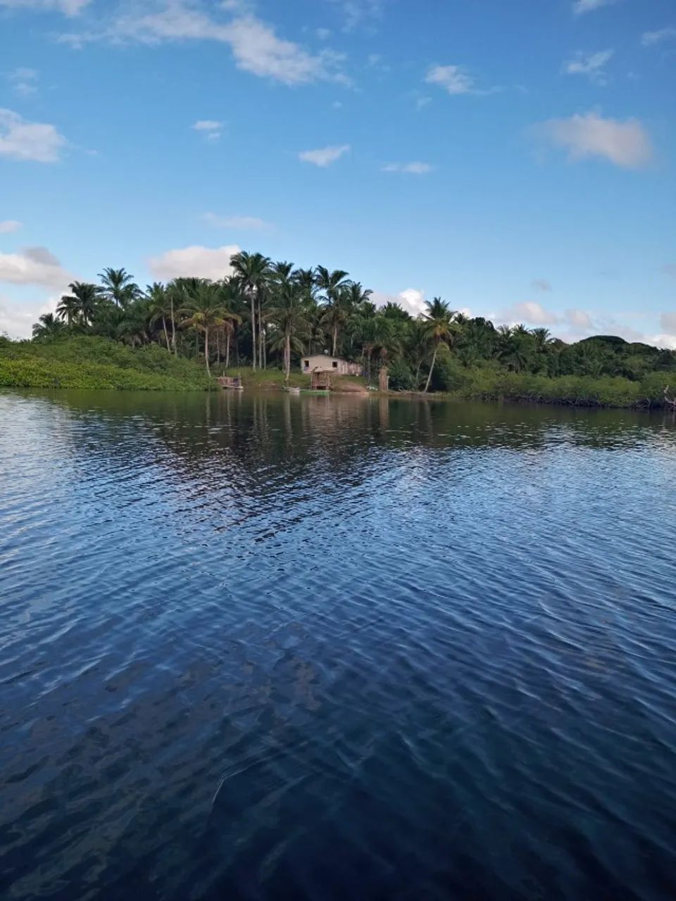 ILHA A VENDA EM CAMAMUM BAHIA  - Foto 2