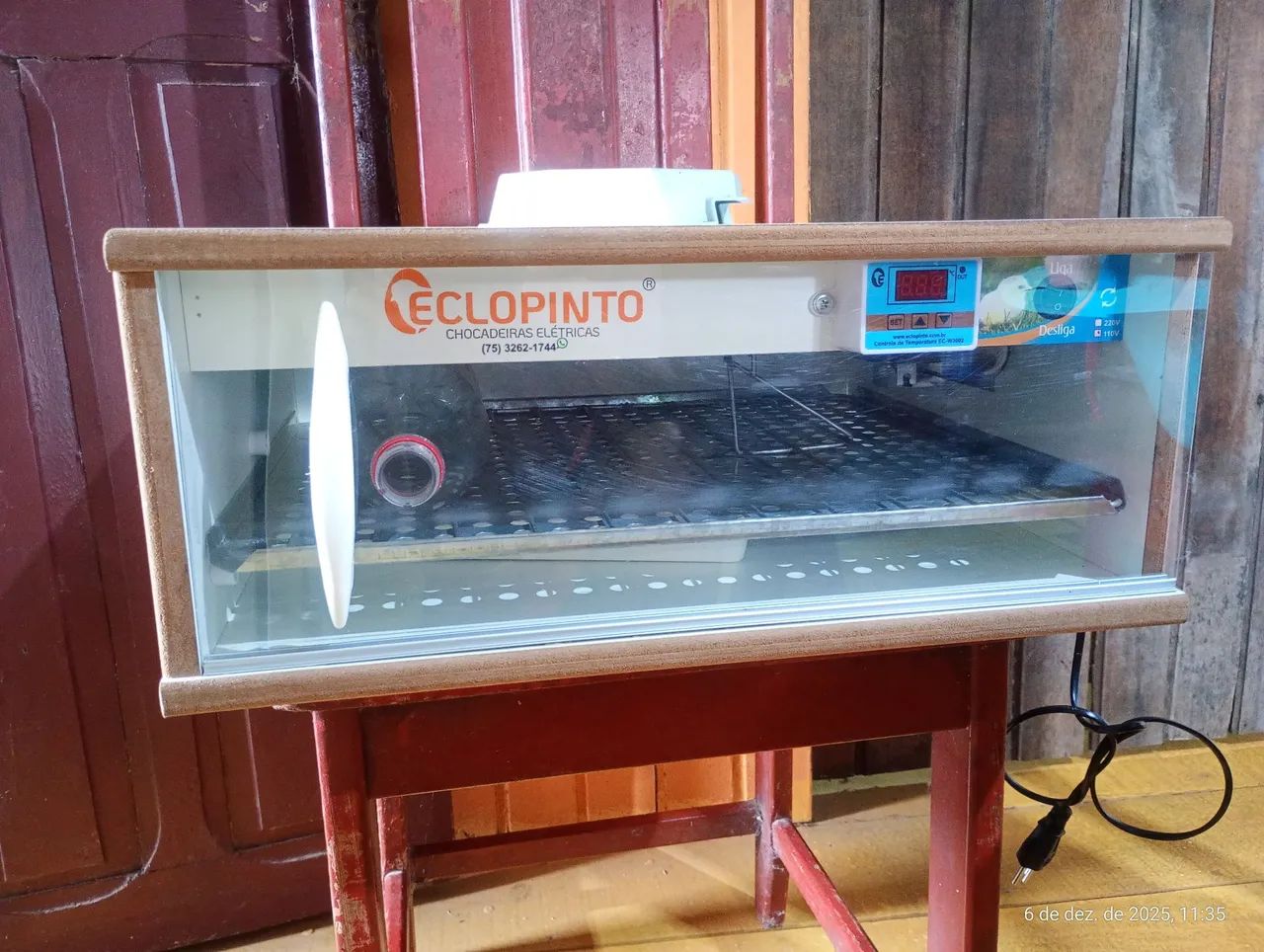 Chocadeira eclopinto - Foto 3