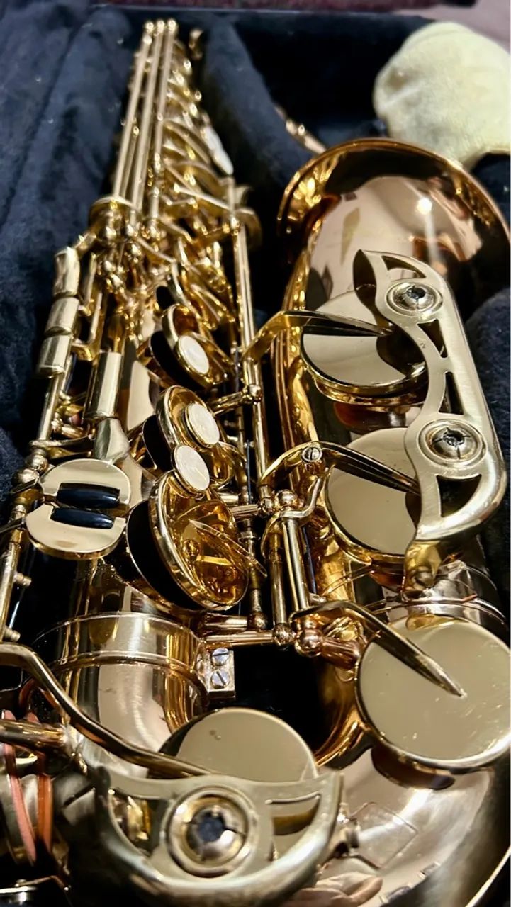 Sax alto Shelter Zero - Foto 5