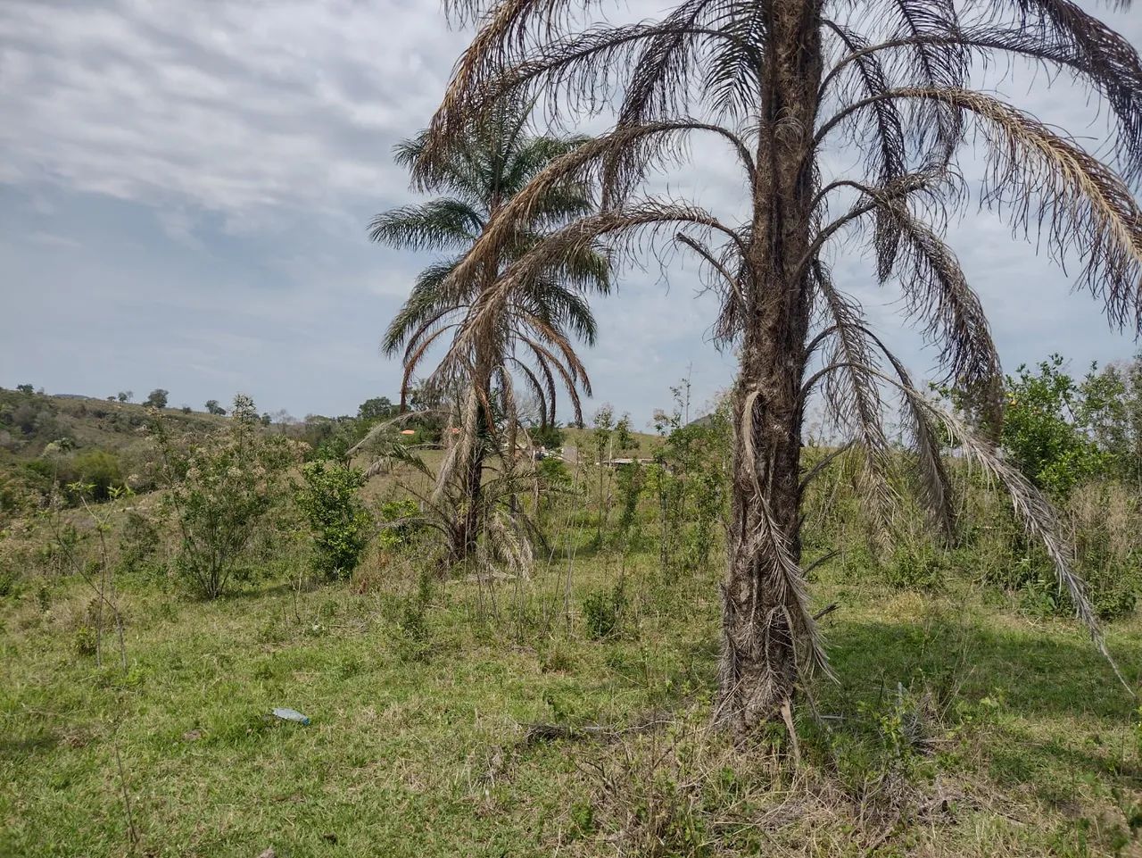 Fazenda/Sítio/Chácara para venda possui 12100 metros quadrados em Rural - Torre de Pedra - - Foto 3