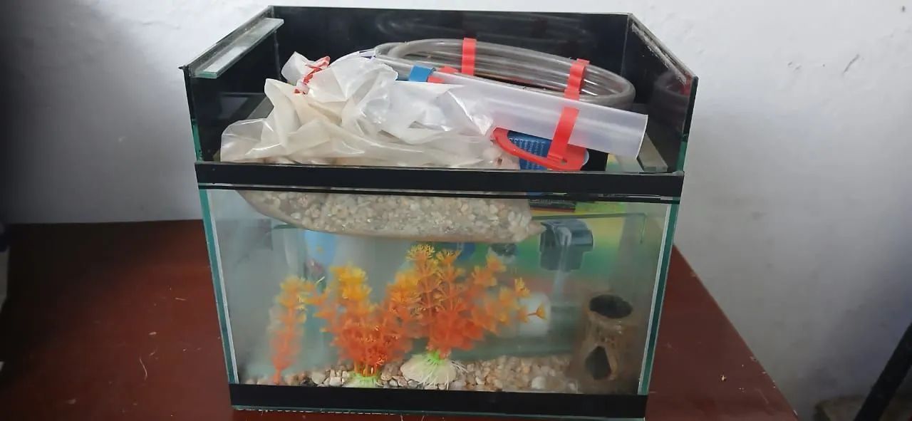 OPORTUNIDADE E ACEITO OFERTAS! Aquário 250 litros Sump Filtro Externo Base + 2 aquários - Foto 3