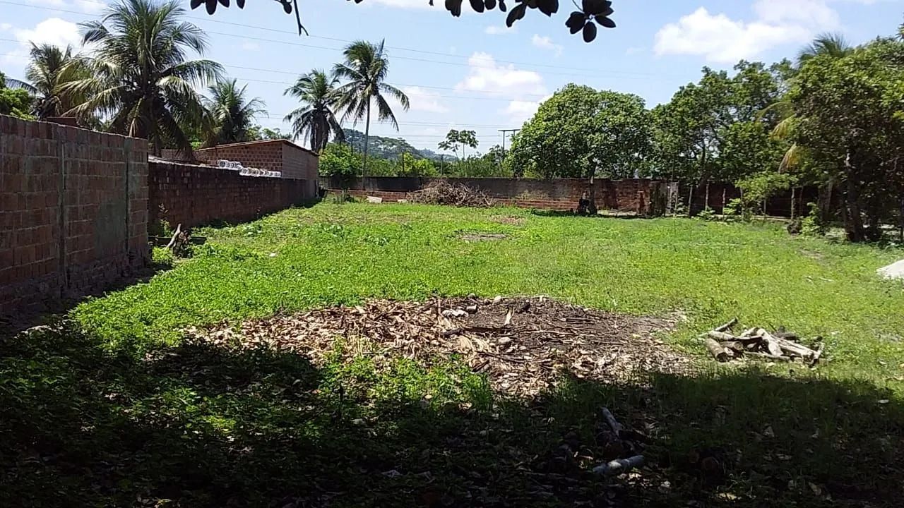 Terreno 30m x 70m - Ótima Oportunidade! - Foto 4