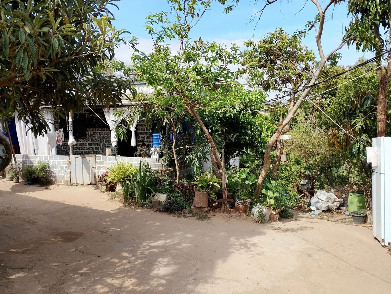 Foto - São Joaquim de Bicas - 