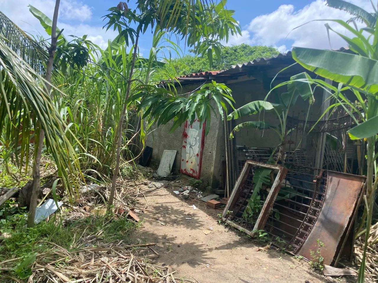 "Oportunidade Imperdível: Terreno à Venda na Granja do Lisboa por R$ 100.000!" - Foto 3