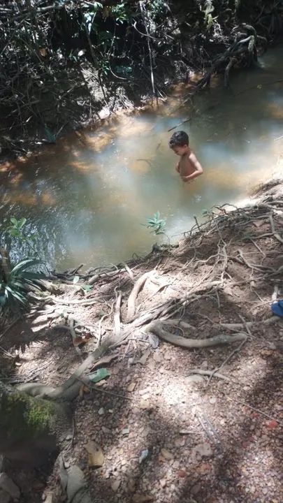 Terreno amplo com área verde - Foto 7