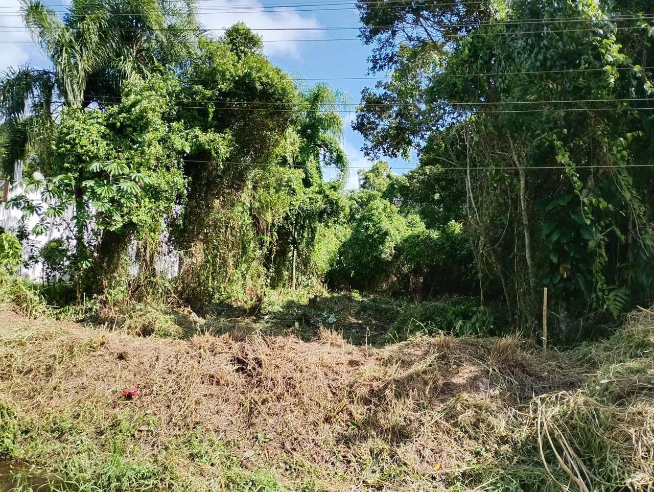 Foto - Ilha Comprida - 