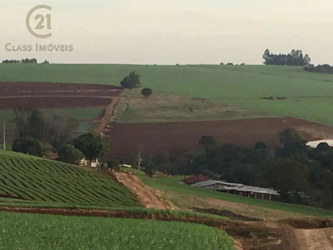 Sítio à venda em Marilândia do Sul, Centro, com 200 m² - Foto 3