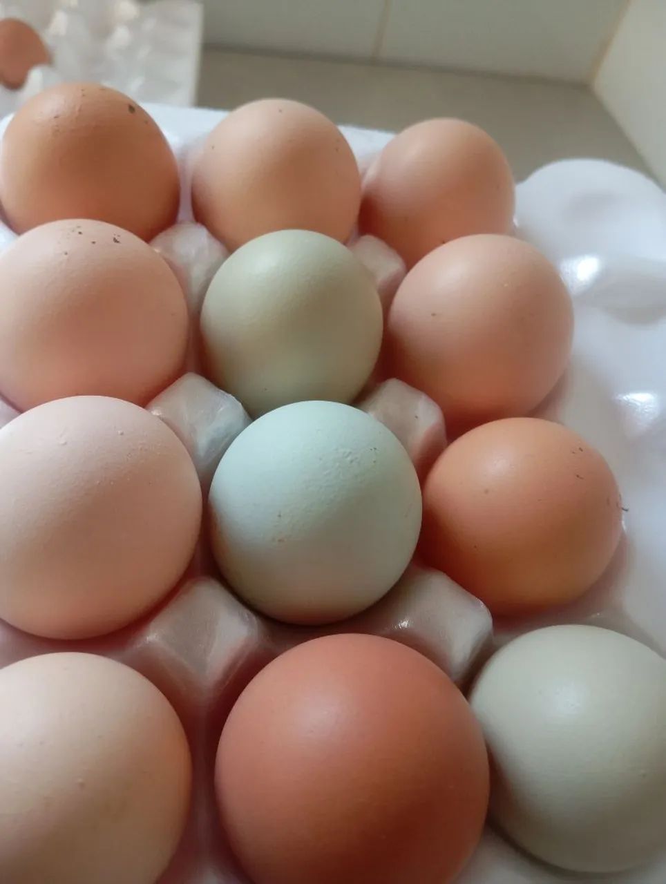 Vendo ovos atacado - Foto 6