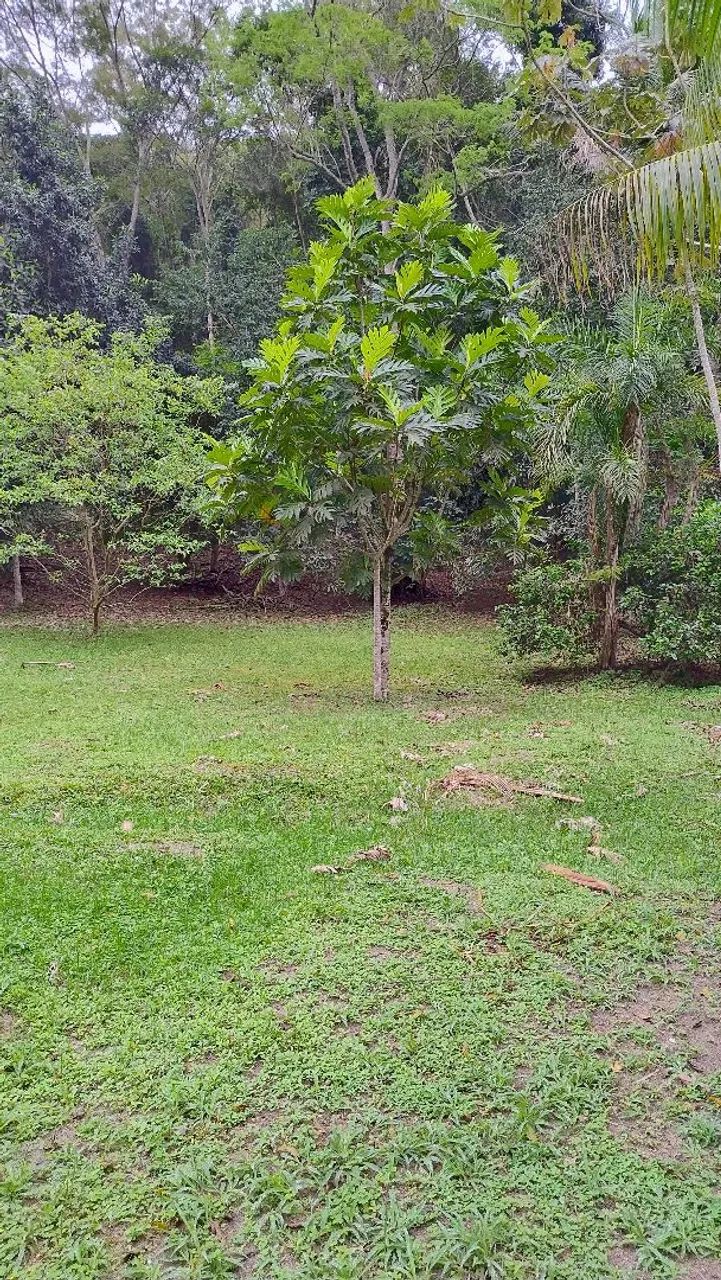 Quatro Chacaras em  área privilegiada. - Foto 4