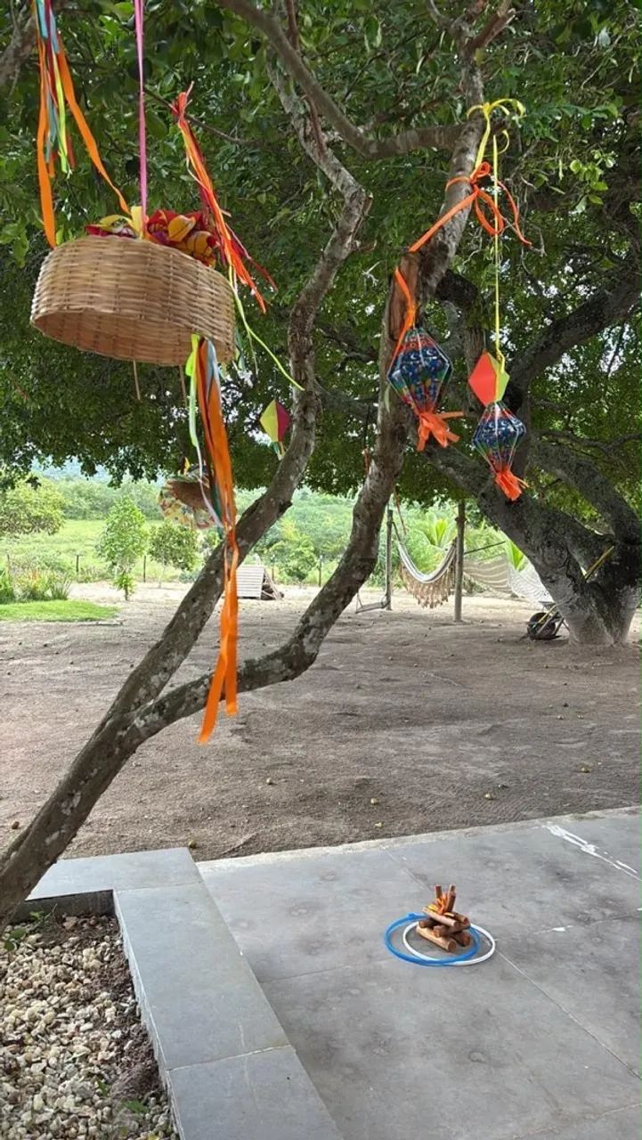 Fazendinha  - Foto 3