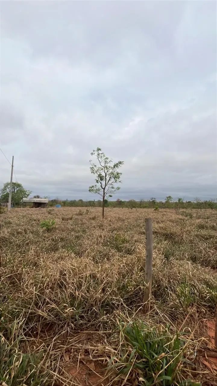CÓD 556  Chácara 7 hectares  30 km de Campo Grande/MS (MS-040) - Foto 2