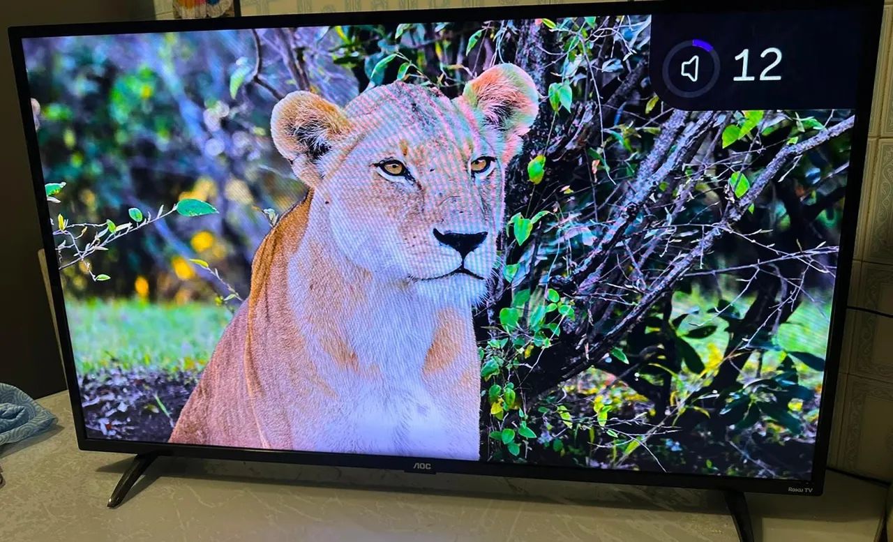 Vendo Smart Tv AOC 43 polegadas 