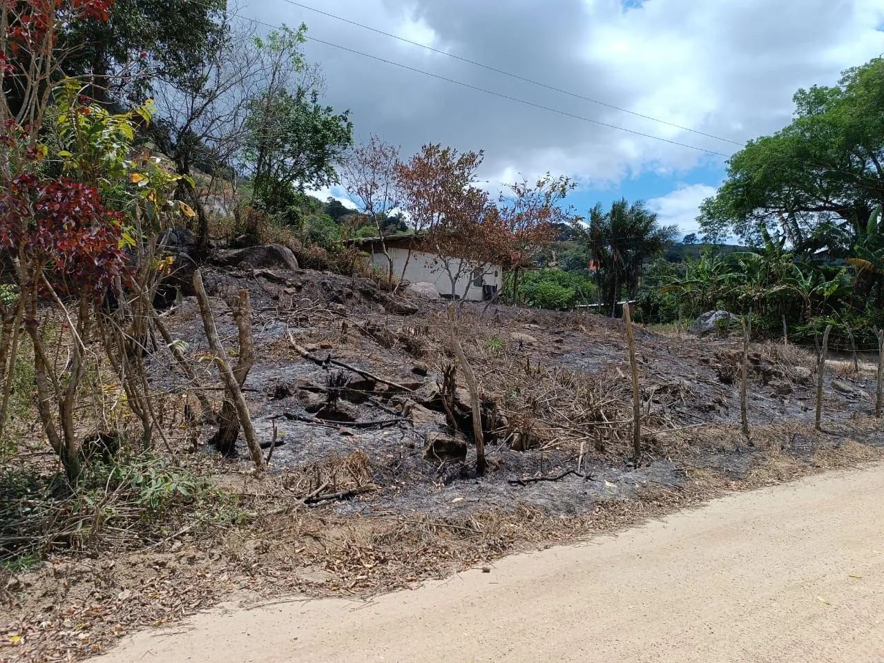 Vendo terreno na serra negra - Foto 2