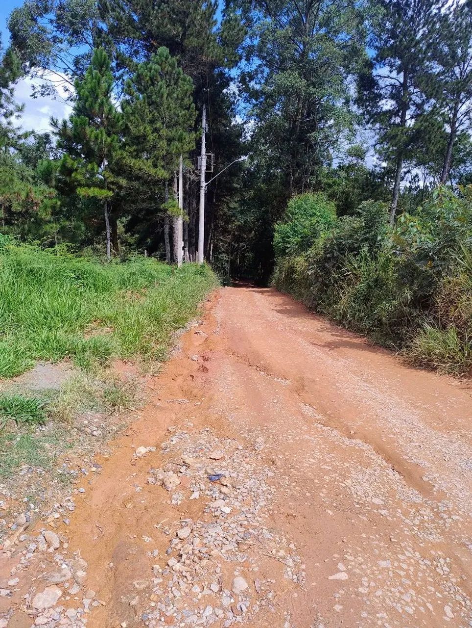 Venda urgente  - Foto 4
