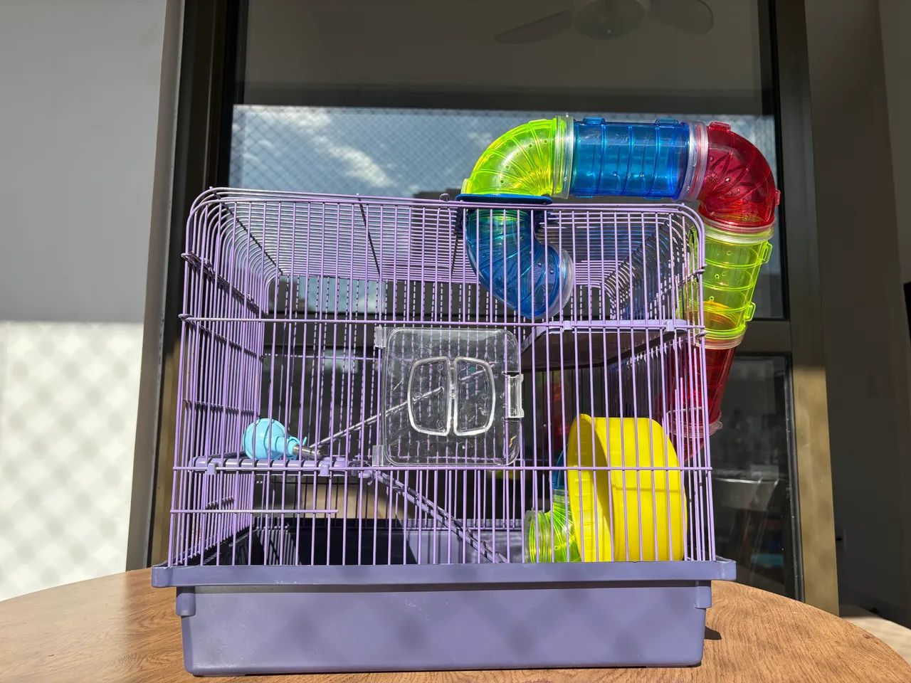 Casa hamster - Foto 4
