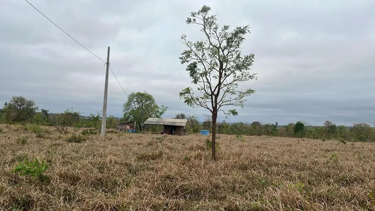 CÓD 556  Chácara 7 hectares  30 km de Campo Grande/MS (MS-040) - Foto 4