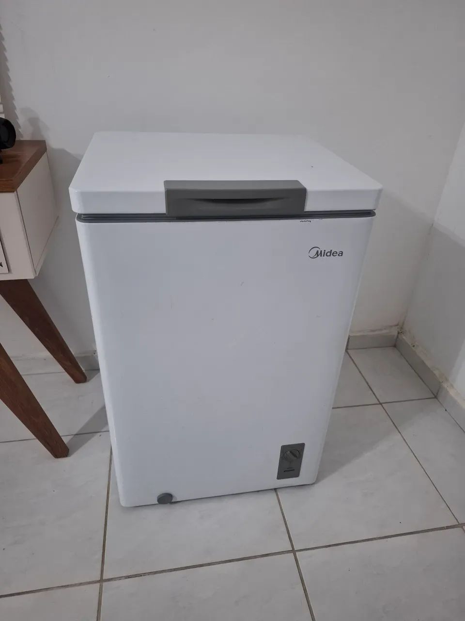 Freezer Horizontal Electrolux