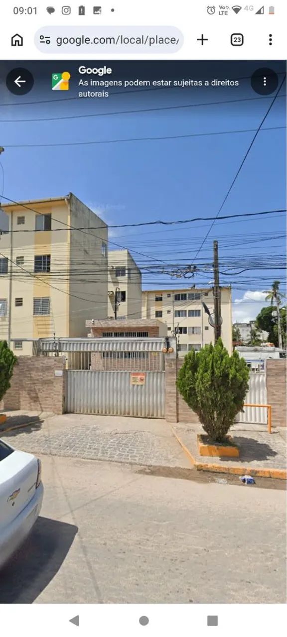 Foto - Paulista - Pau Amarelo