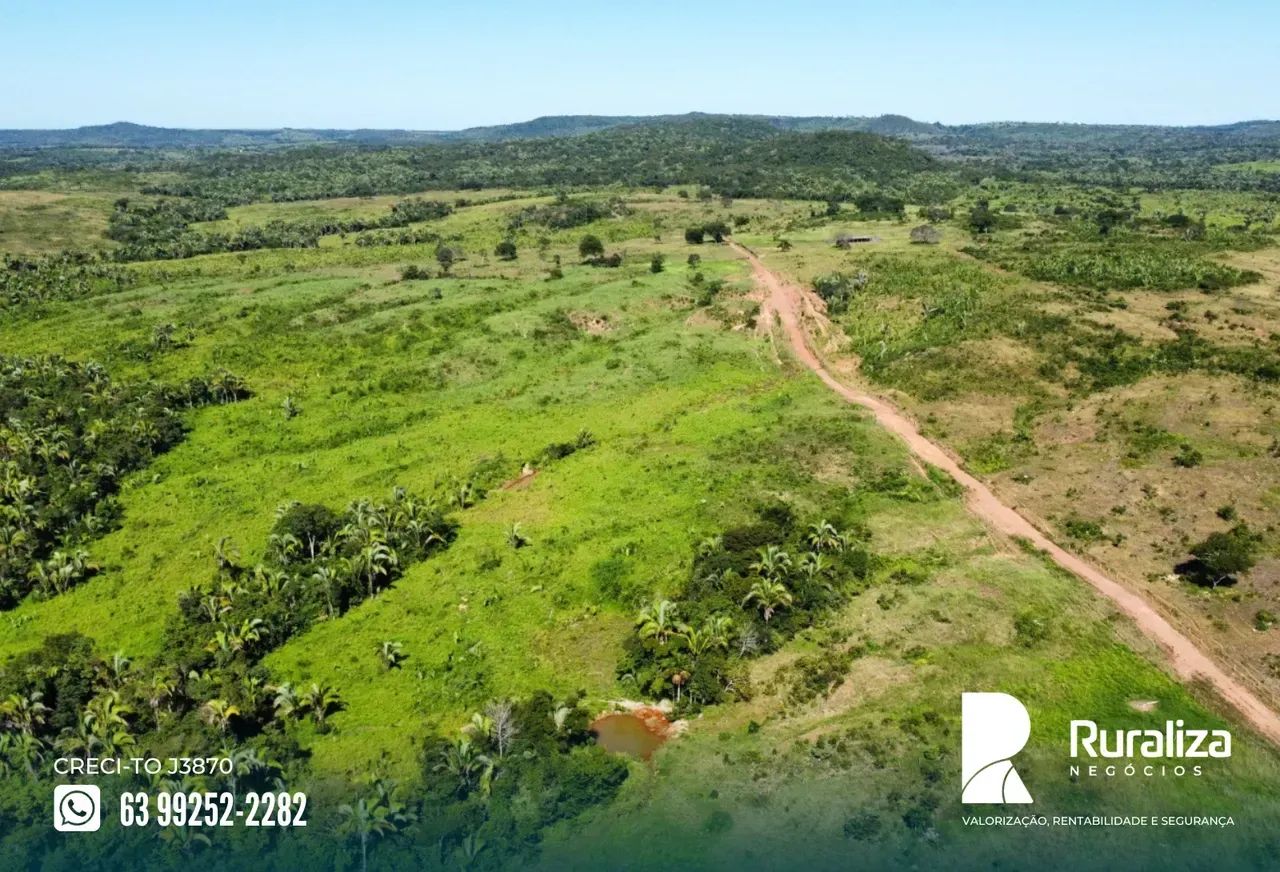 Fazenda em Miranorte-TO | Terra de cultura - Foto 3