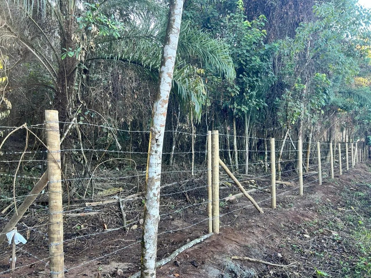Lote no Condomínio Jardins de Petrópolis - Foto 5