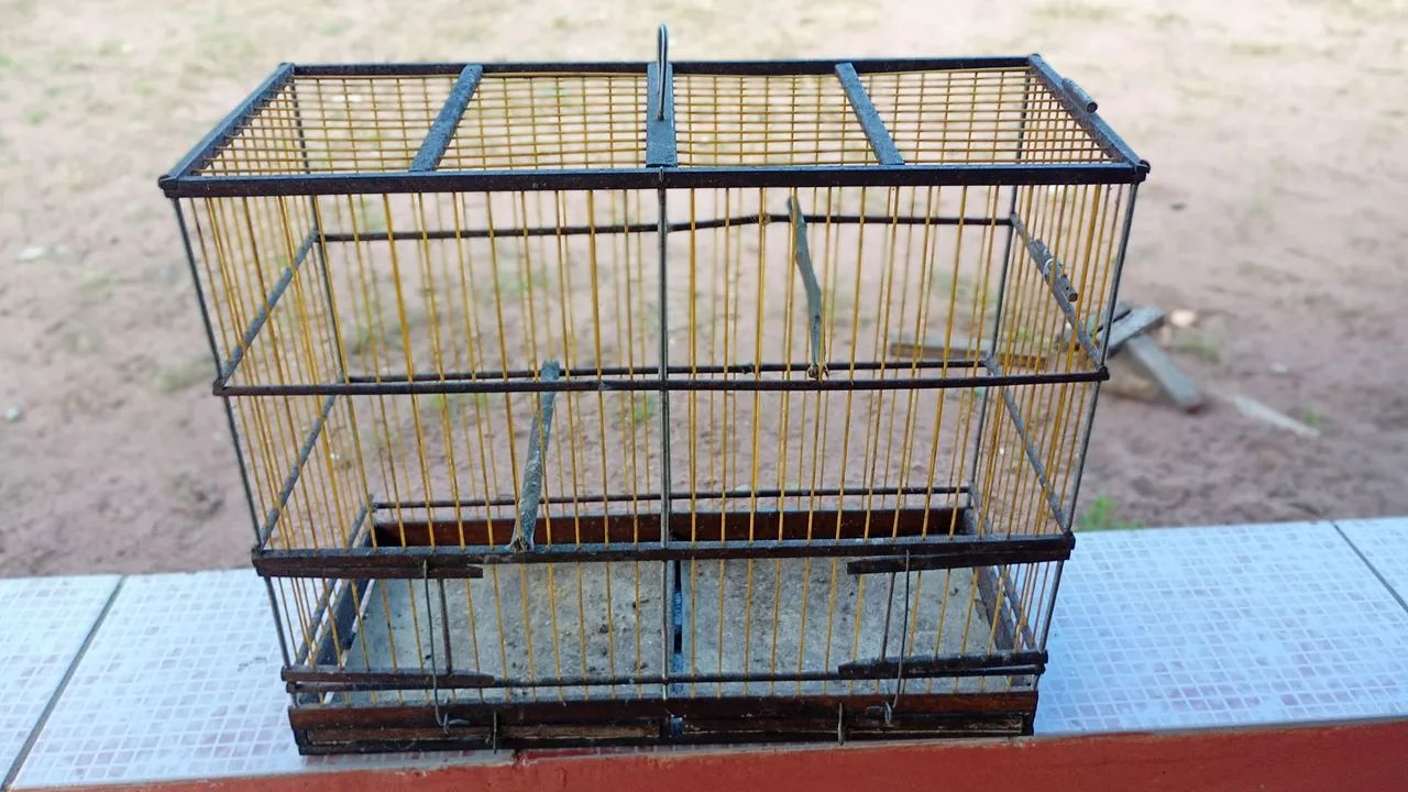 Gaiolas pra vender . - Foto 3