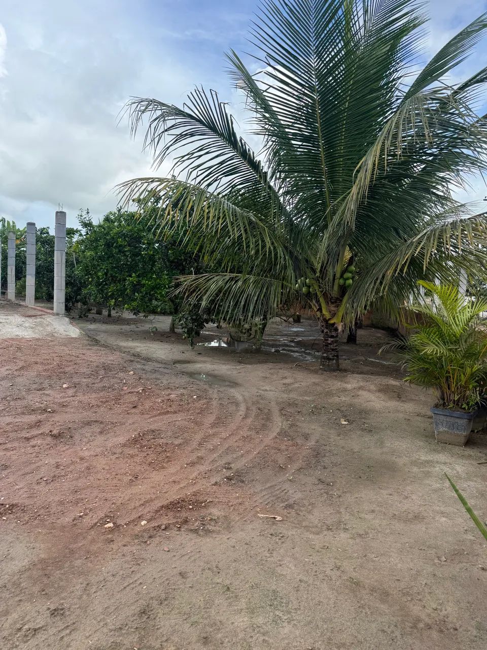 Sítio localizado no povoado mangue grande BOQUIM