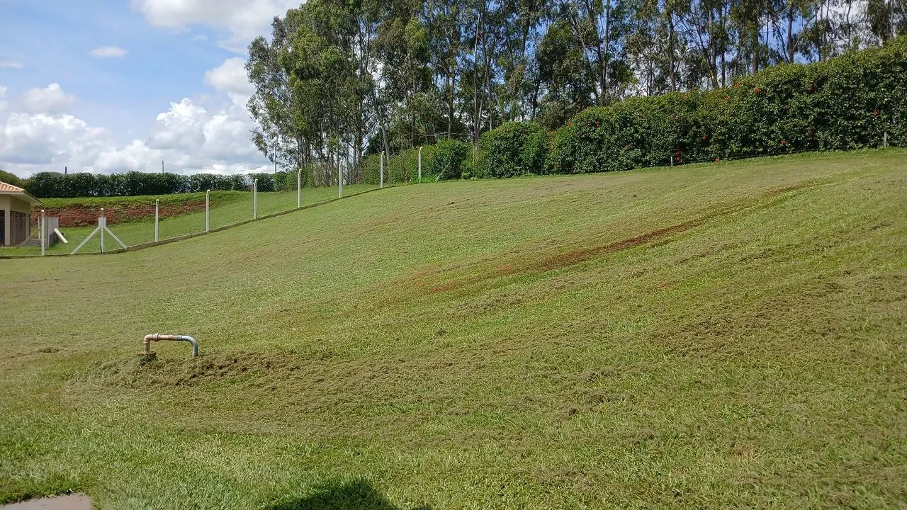 Serviço  de jardinagem - Foto 3