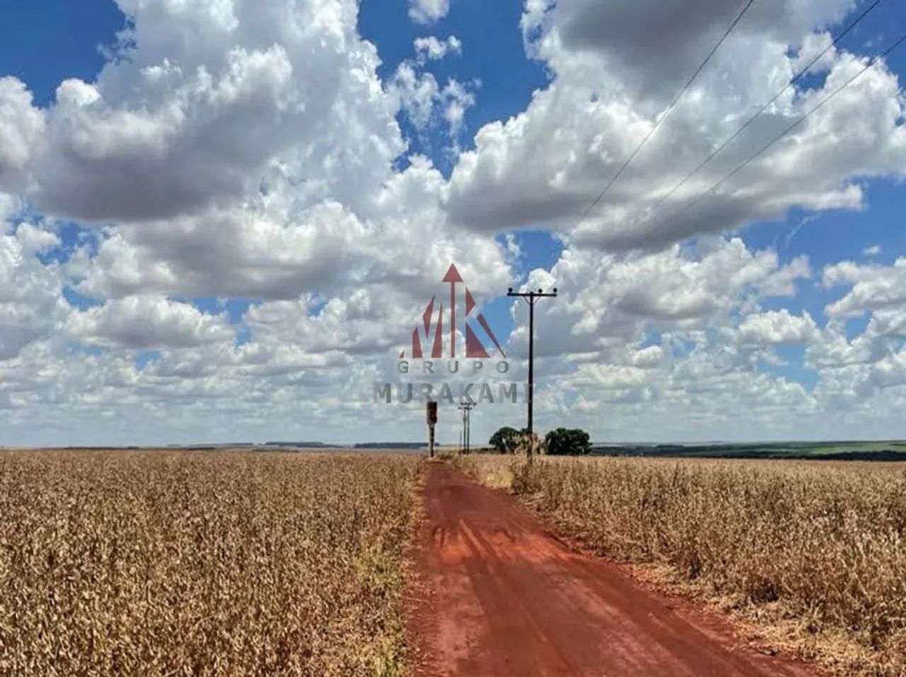 FAZENDA - DOURADOS - MS - Foto 2