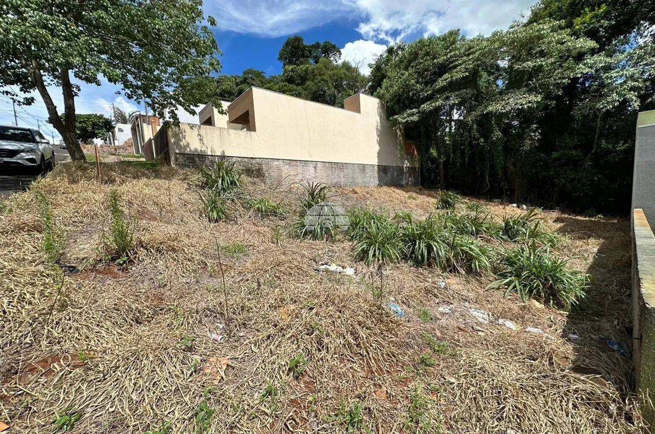 Vendas Terreno Pato Branco PR - Foto 5