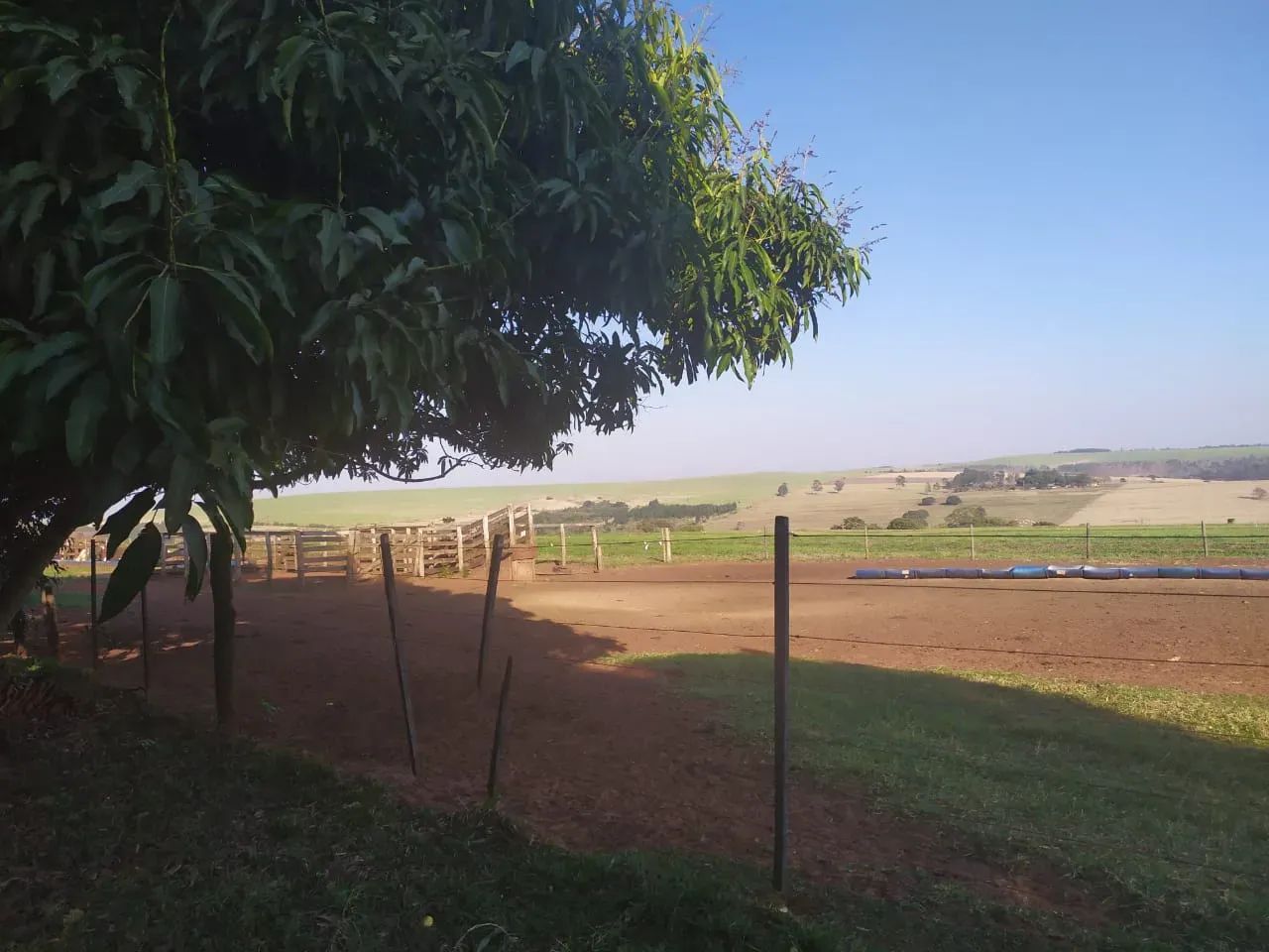 Fazenda em Munhoz de Melo - Paraná - Foto 2