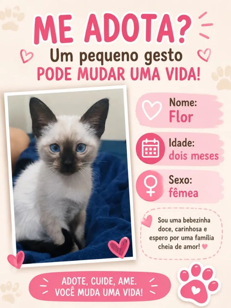 Doação responsável  - Foto 2