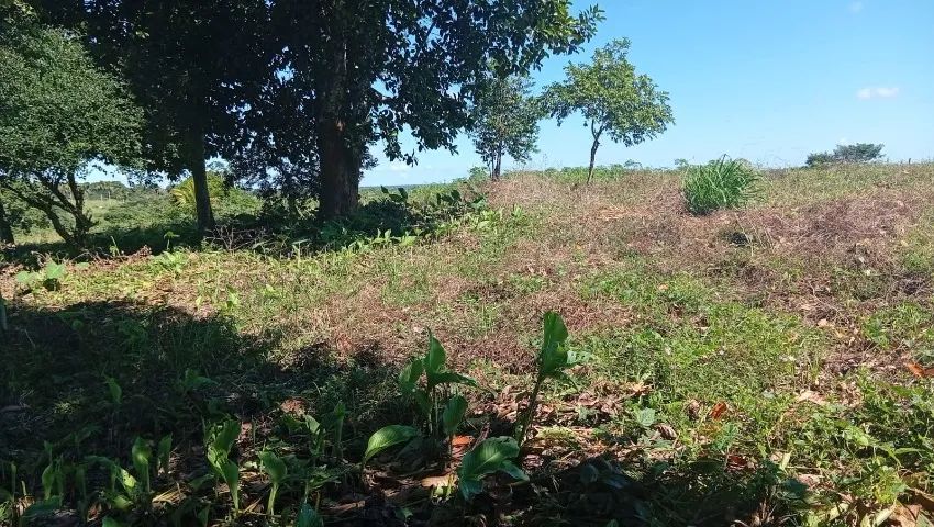 Vende um sítio de 6 tarefas com duas casa 