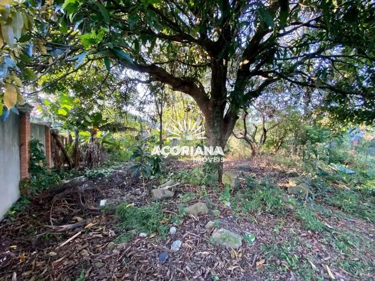 Oportunidade no Rio Tavares - Terreno a Venda - Foto 3