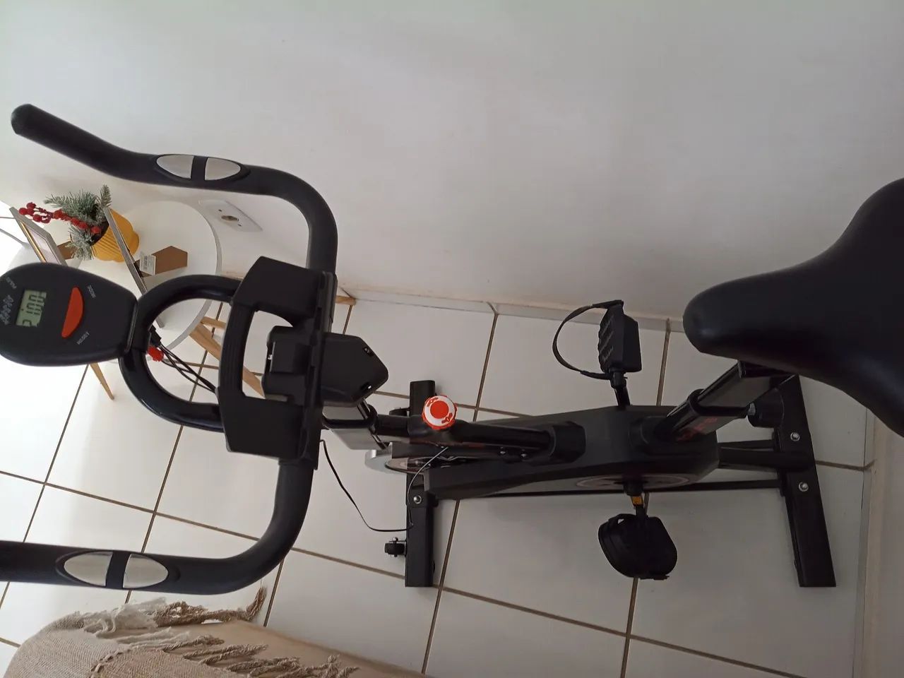Bicicleta ergométrica 