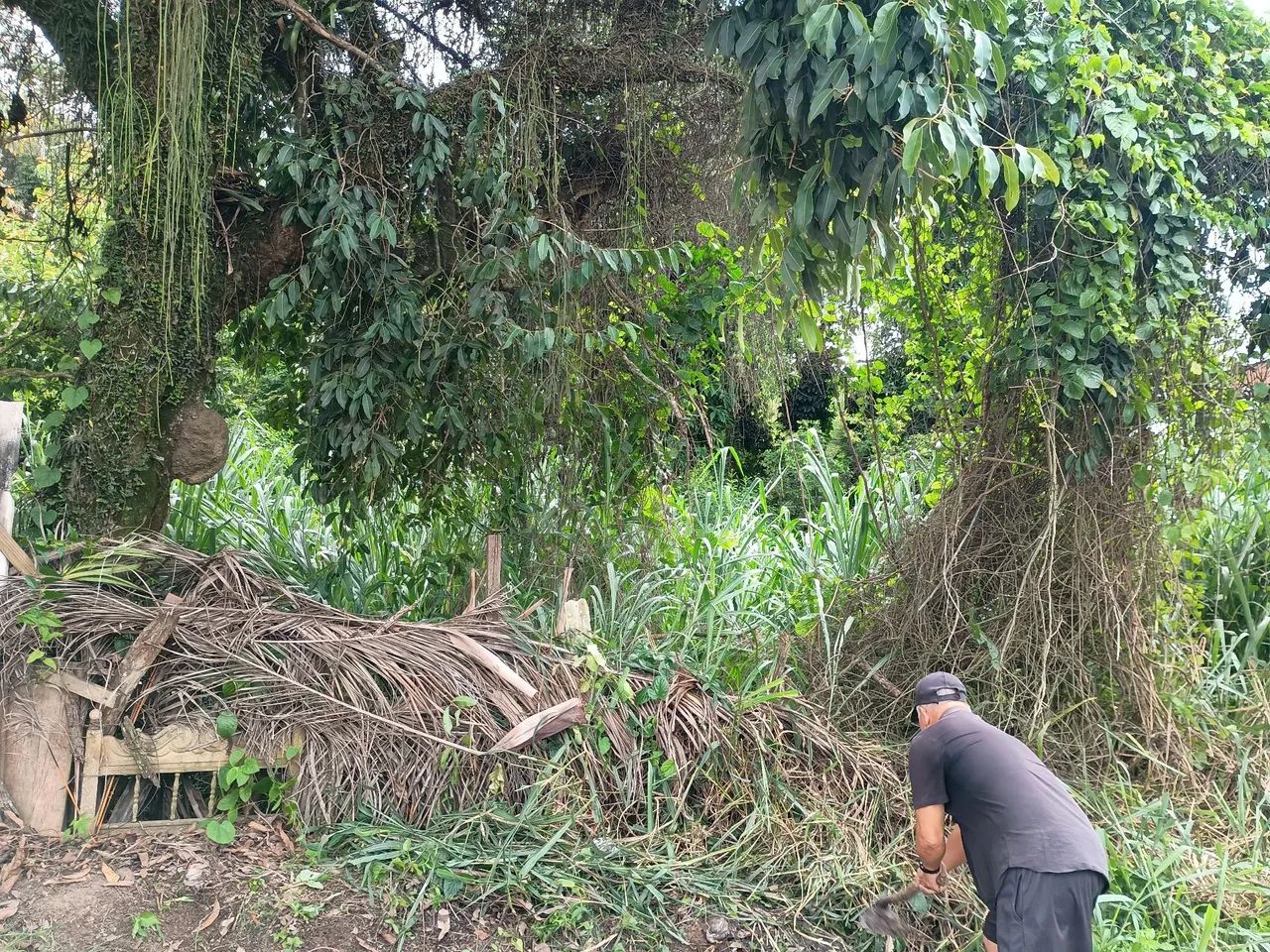 Vendo terreno na Rua Antônio Lourenço dos santos Junior Santa Izabel 