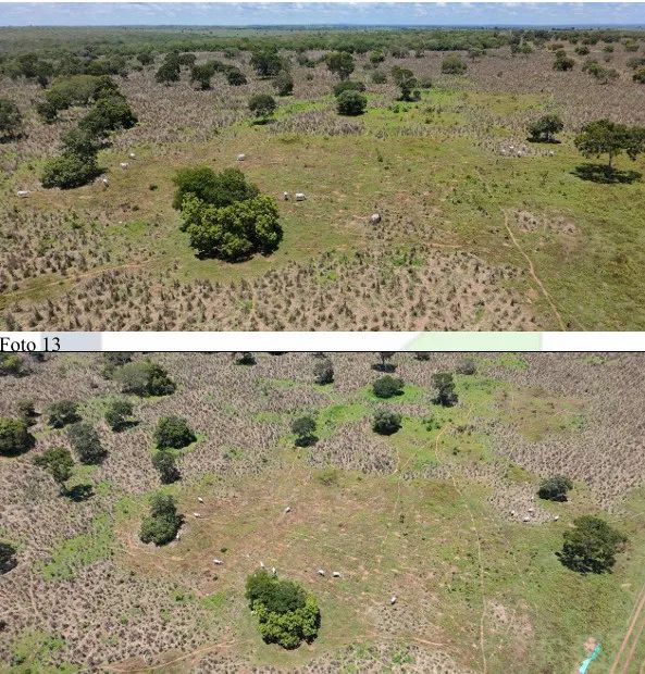 Imóvel rural no Zona Rural em Araguçu - Foto 4