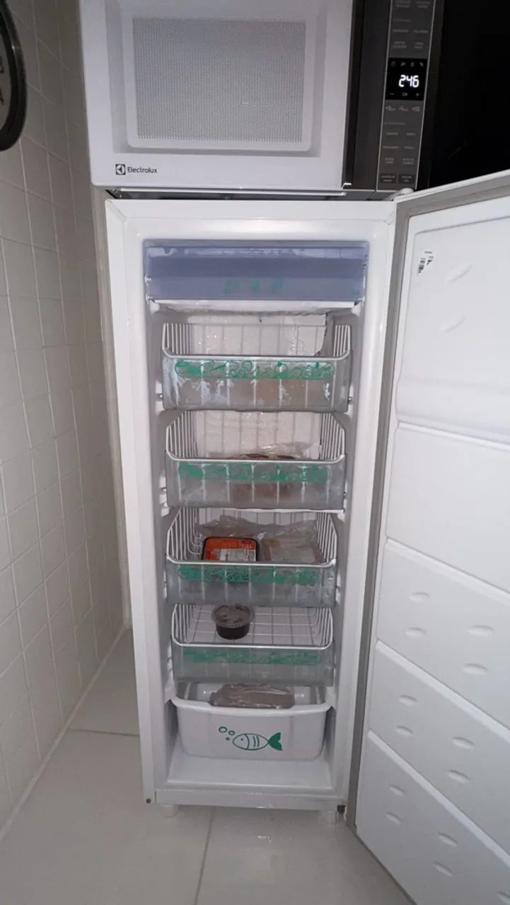 Freezer Consul 