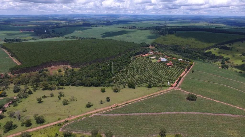 Sítio à venda em Manduri, Centro, com 5 quartos, com 10.34 alqueires - Foto 2