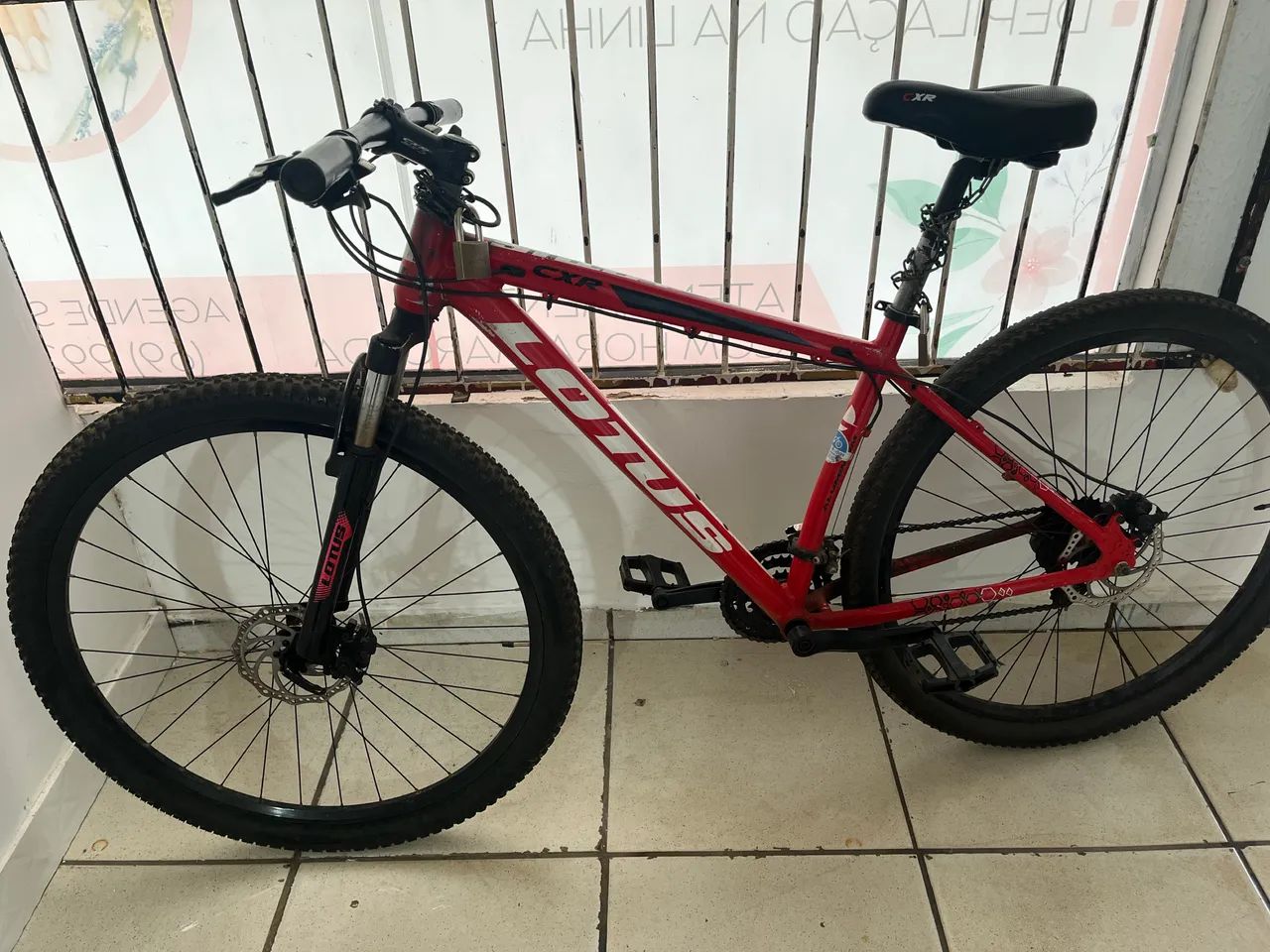 Bicicleta lótus 