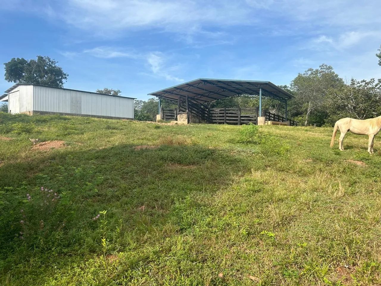 Imóvel rural no Zona Rural em Mara Rosa - Foto 5