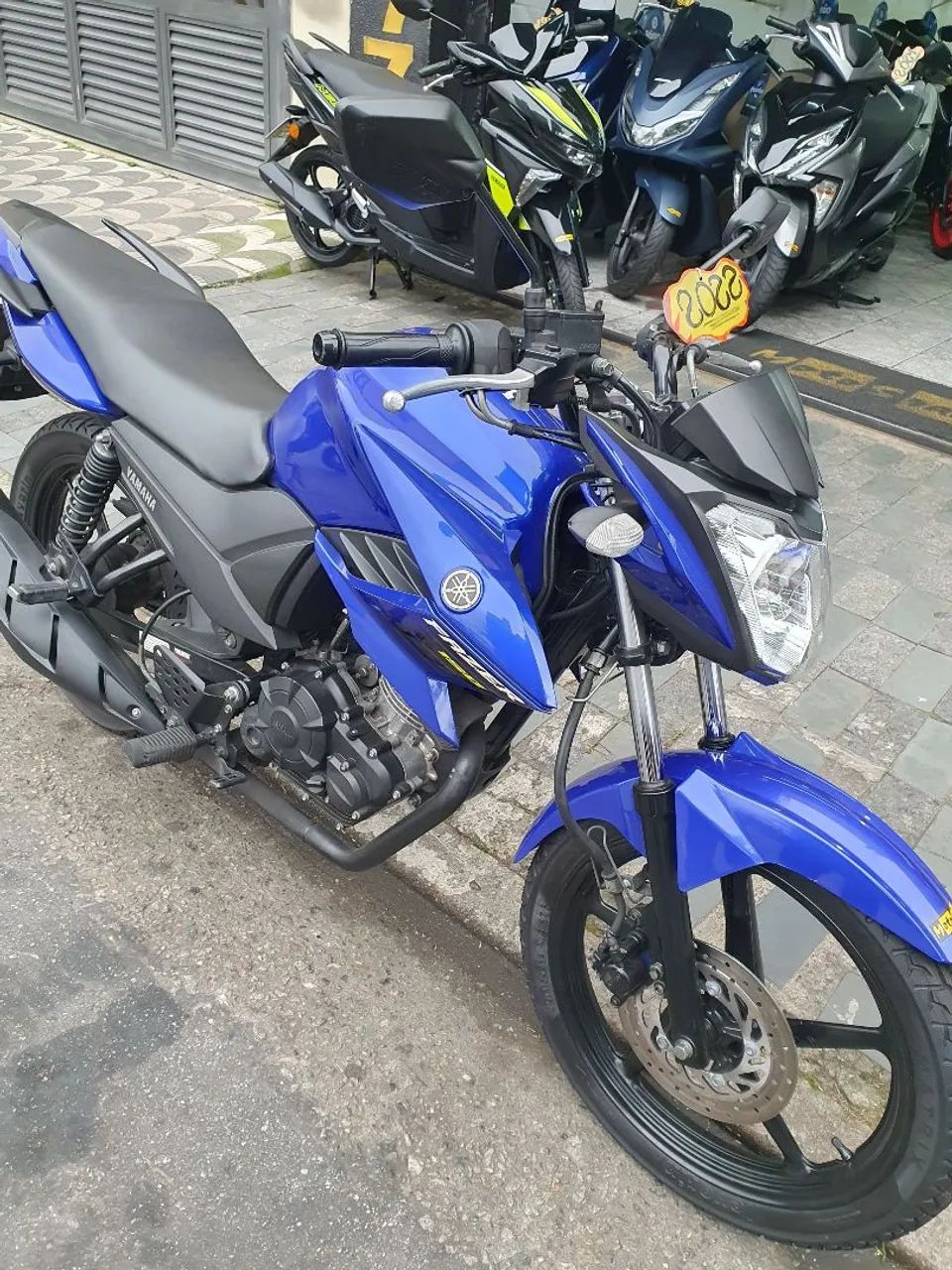 Fazer 150 ano 2022 - Foto 4