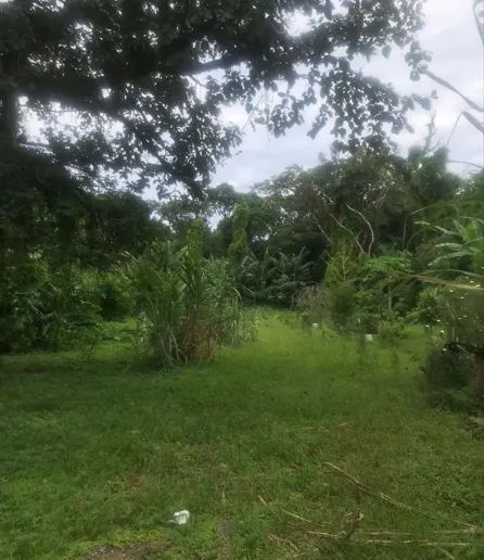 Foto - Mongaguá - Agenor de Campos
