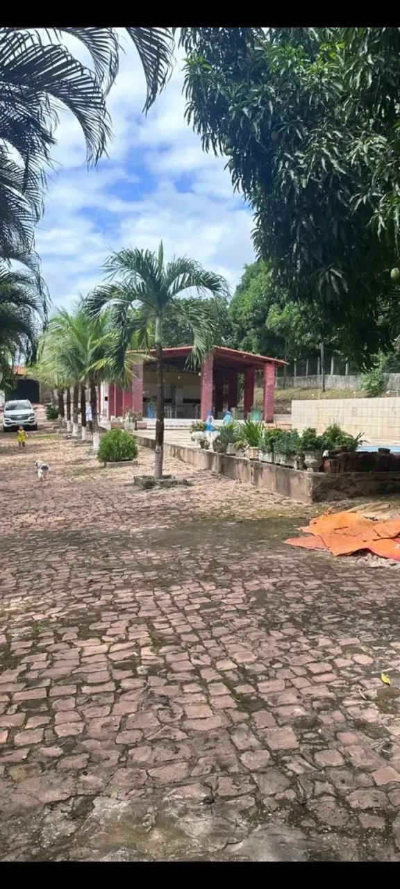 Sítio no povoado Santa Teresa e próximo ao Sítio do Didi - Foto 4