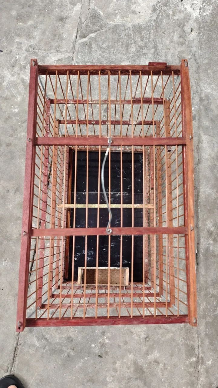 Gaiola - Foto 5