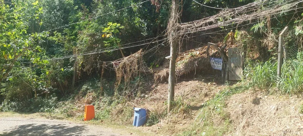 TERRENO - HUMAITÁ - Rua Casuarina - Foto 5
