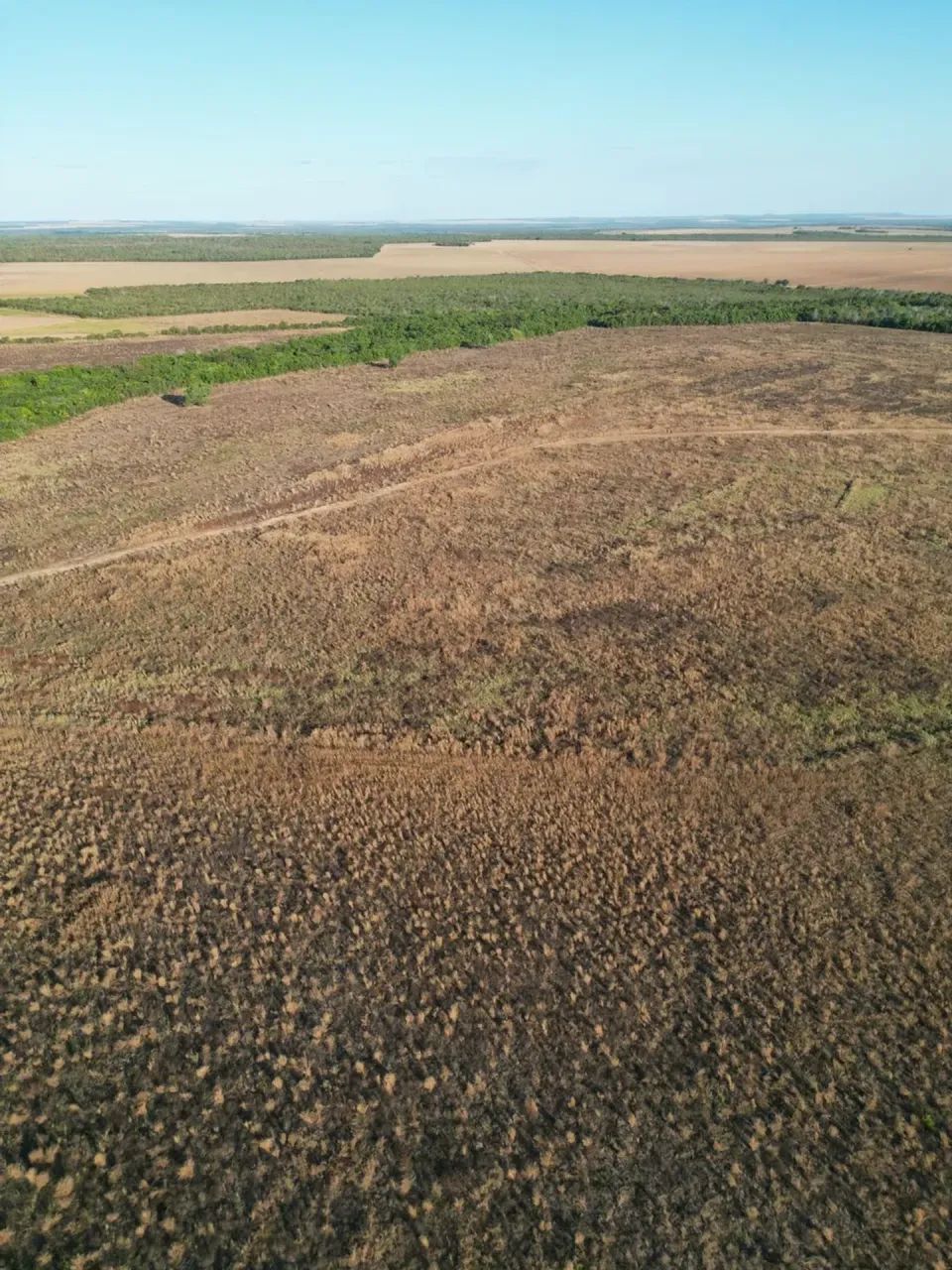 Fazenda a venda em Pedro Afonso - Tocantins!!! - Foto 5